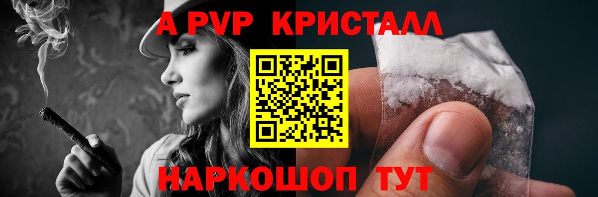 Альфа ПВП СК КРИС Коряжма